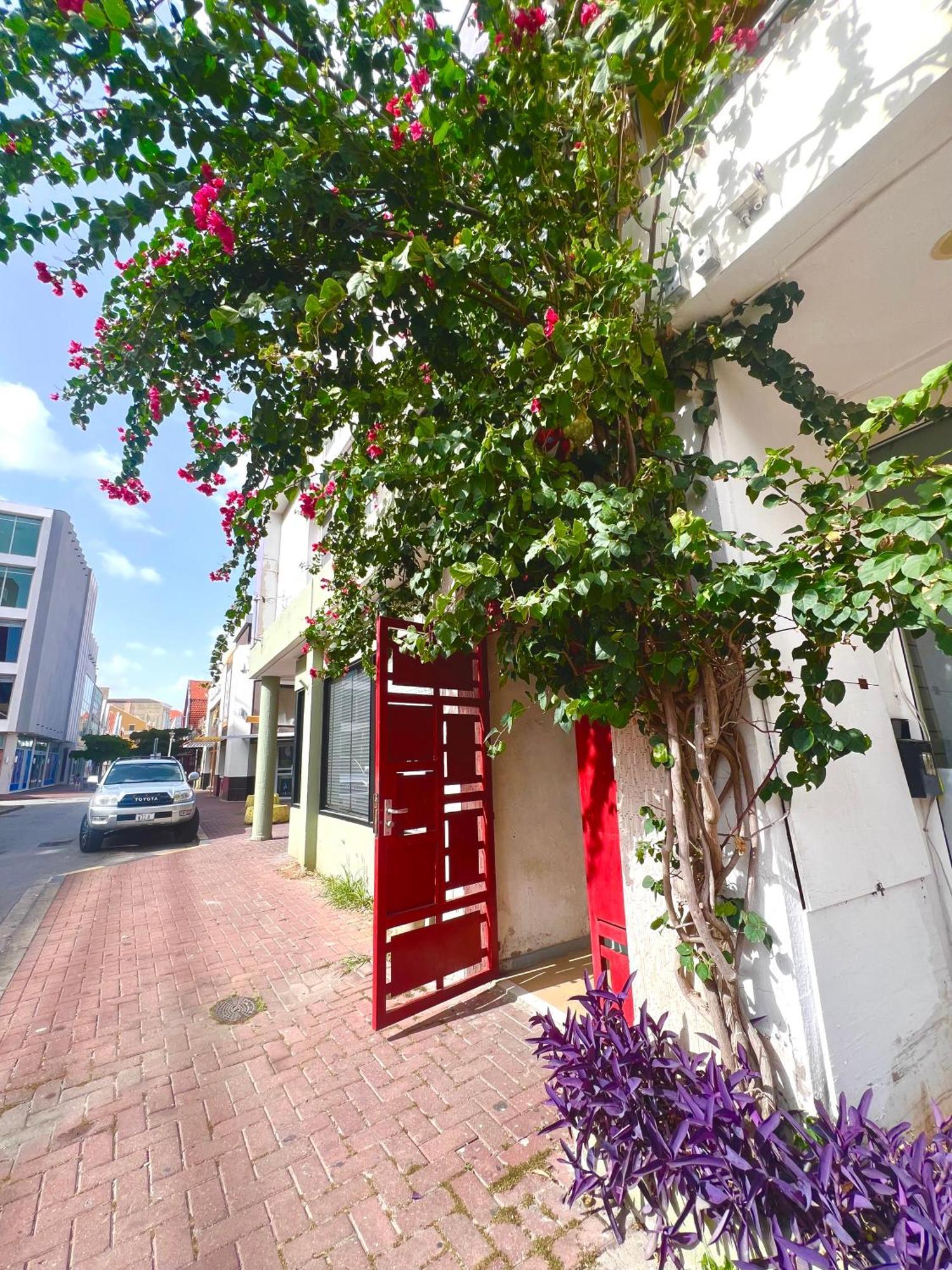 Dushi Apartments Willemstad Exteriér fotografie